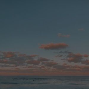 Meet your Posher, Tenzin